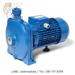(E061-0190) Ebara CMA-2.00T ปั๊มหอยโข่ง (2 HP 3สาย)