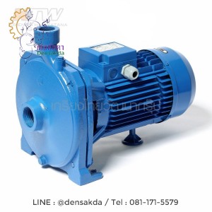 (E061-0195) Ebara CMA-3.00T ปั๊มหอยโข่ง (3 HP 3สาย)