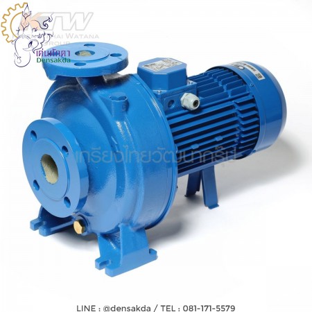 รูปตัวอย่าง (E061-2523) Ebara 3D 32-200/3.0 ปั๊มเหล็กหล่อ - 3 สาย