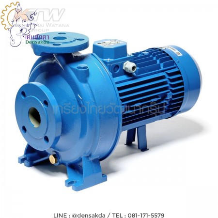 รูปตัวอย่าง (E061-2524) Ebara 3D 32-200/4.0 ปั๊มเหล็กหล่อ - 3 สาย