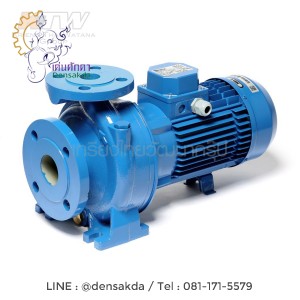 (E061-2586) Ebara 3D 65-160/11 ปั๊มเหล็กหล่อ - 3 สาย