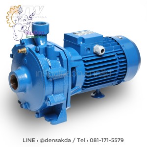 (E061-0080) Ebara CDA-1.50T หอยโข่งใบพัดคู่ (1.5HP 3สาย)