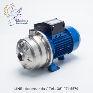 (E061-2220) Ebara 2CDXM-120/15 ปั๊ม SS304 ใบพัดคู่ 2 สาย