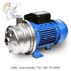 (E061-2230) 2CDXM-120/20 ปั๊ม SS304 ใบพัดคู่ 2 สาย