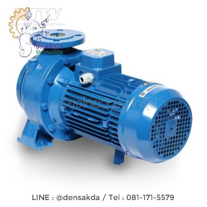 (E061-2527) Ebara 3D 32-200/7.5 ปั๊มเหล็กหล่อ - 3 สาย