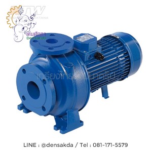 (E061-2592) Ebara 3D 65-200/15 ปั๊มเหล็กหล่อ - 3 สาย