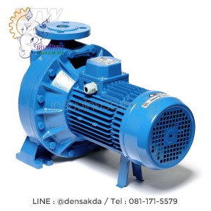 (E061-2596) Ebara 3D 65-200/22 ปั๊มเหล็กหล่อ - 3 สาย