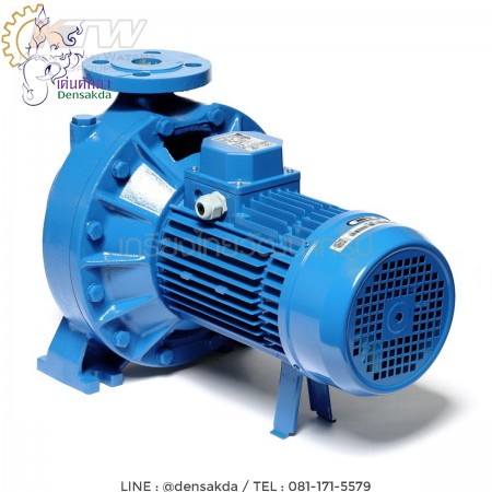 รูปตัวอย่าง (E061-2596) Ebara 3D 65-200/22 ปั๊มเหล็กหล่อ - 3 สาย