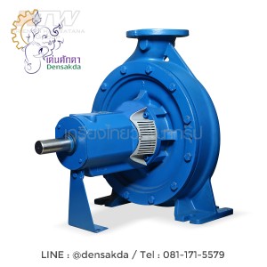 (E061-4350) Ebara ENR 100-400 ปั๊มเพลาลอย ไม่รวมหน้าแปลน