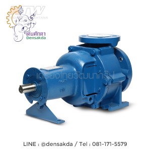 (E061-4600) Ebara GS 40-125 ปั๊มเพลาลอย ไม่รวมหน้าแปลน