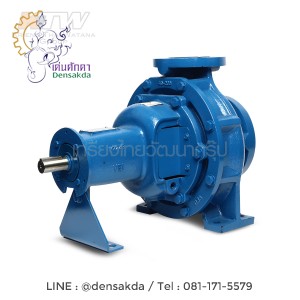(E061-4604) Ebara GS 40-200 ปั๊มเพลาลอย ไม่รวมหน้าแปลน