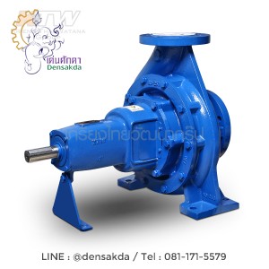 (E061-4670) Ebara GS 80-250 ปั๊มเพลาลอย ไม่รวมหน้าแปลน