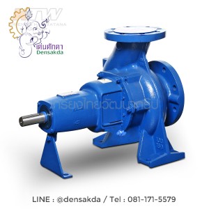 (E061-4690) Ebara GS 100-160 ปั๊มเพลาลอย ไม่รวมหน้าแปลน