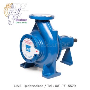 (E061-4700) Ebara GS 100-250 ปั๊มเพลาลอย ไม่รวมหน้าแปลน
