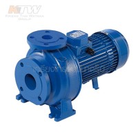 หมวดปั๊มน้ำหอยโข่ง end suction - (E061-2531M) Ebara 3D 40-125/1.5M ปั๊มเหล็กหล่อ - 2 สาย