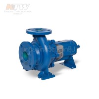 หมวดปั๊มน้ำเพลาลอย - (E061-4010) Ebara ENR 50-125 ปั๊มเพลาลอย ไม่รวมหน้าแปลน