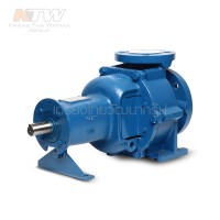 หมวดปั๊มน้ำเพลาลอย - (E061-4600) Ebara GS 40-125 ปั๊มเพลาลอย ไม่รวมหน้าแปลน