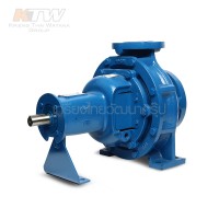 หมวดปั๊มน้ำเพลาลอย - (E061-4604) Ebara GS 40-200 ปั๊มเพลาลอย ไม่รวมหน้าแปลน