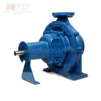 หมวดปั๊มน้ำเพลาลอย - (E061-4606) Ebara GS 40-250 ปั๊มเพลาลอย ไม่รวมหน้าแปลน