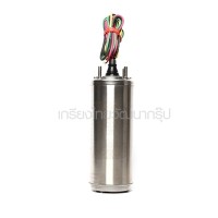 หมวดมอเตอร์ปั๊มน้ำบาดาล - (F071-0051) Franklin มอเตอร์ 4 0.5HP 1 เฟส 220V พร้อมสายไฟ 48