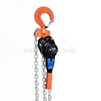 หมวดรอกโยกโซ่ - รอกโยกโซ่ 6 TON (YA-630)